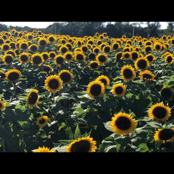 Meet your Posher, Irini - Picture 1 of 1